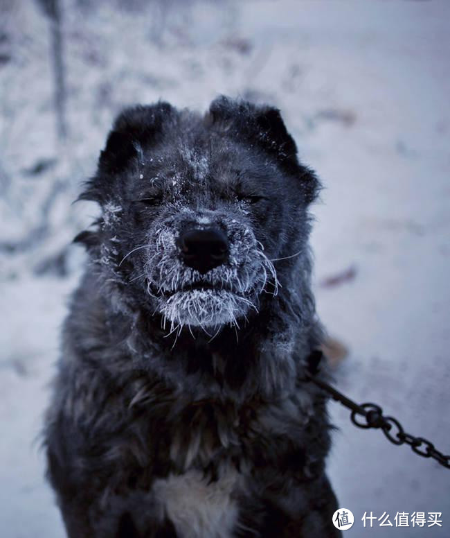卧室地暖安装使用两周年记